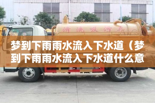 夢到下雨雨水流入下水道（夢到下雨雨水流入下水道什么意思）