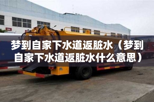 夢到自家下水道返臟水（夢到自家下水道返臟水什么意思）
