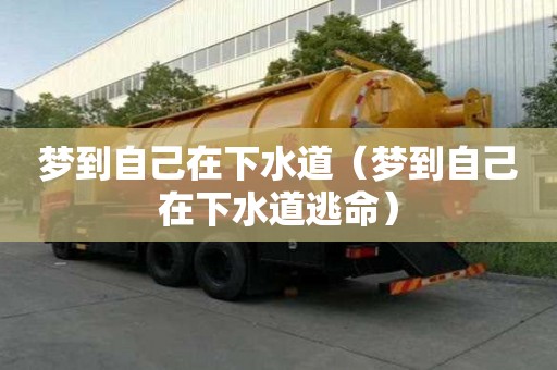 夢(mèng)到自己在下水道（夢(mèng)到自己在下水道逃命）