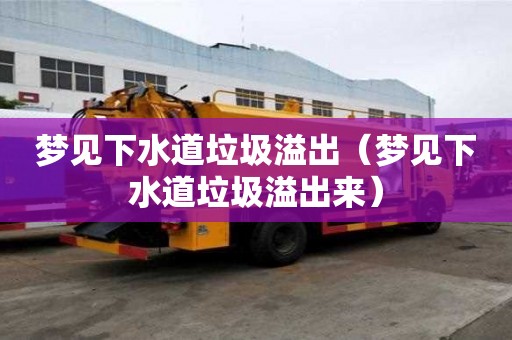 夢見下水道垃圾溢出（夢見下水道垃圾溢出來）