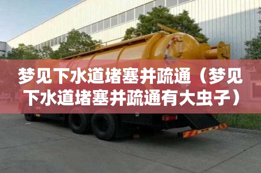 夢(mèng)見(jiàn)下水道堵塞并疏通（夢(mèng)見(jiàn)下水道堵塞并疏通有大蟲(chóng)子）