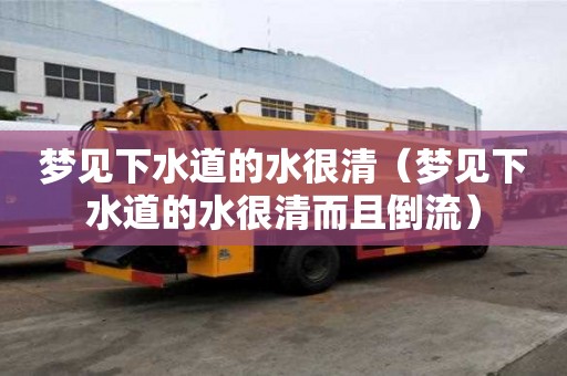 夢見下水道的水很清（夢見下水道的水很清而且倒流）