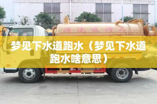 夢見下水道跑水（夢見下水道跑水啥意思）