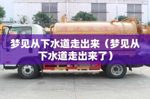 夢見從下水道走出來（夢見從下水道走出來了）