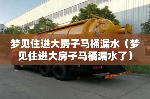 夢見住進大房子馬桶漏水（夢見住進大房子馬桶漏水了）