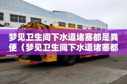夢見衛(wèi)生間下水道堵塞都是糞便（夢見衛(wèi)生間下水道堵塞都是糞便什么意思）