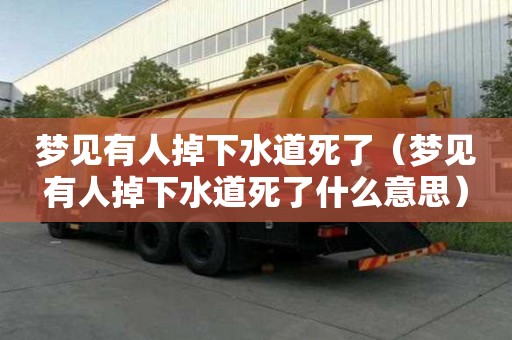 夢見有人掉下水道死了（夢見有人掉下水道死了什么意思）