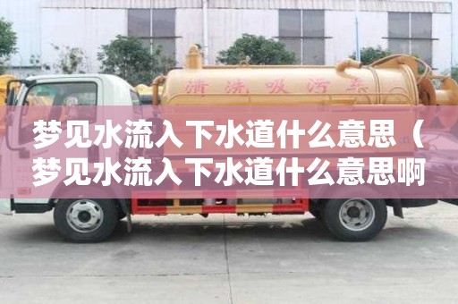夢見水流入下水道什么意思（夢見水流入下水道什么意思啊）