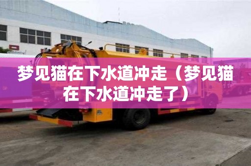 夢見貓在下水道沖走（夢見貓在下水道沖走了）