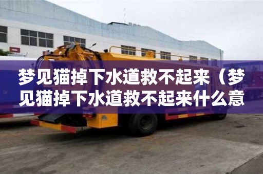 夢見貓掉下水道救不起來（夢見貓掉下水道救不起來什么意思）