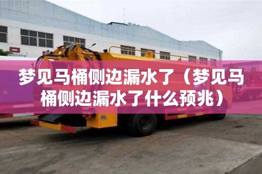 夢見馬桶側邊漏水了（夢見馬桶側邊漏水了什么預兆）
