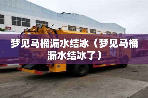 夢見馬桶漏水結冰（夢見馬桶漏水結冰了）
