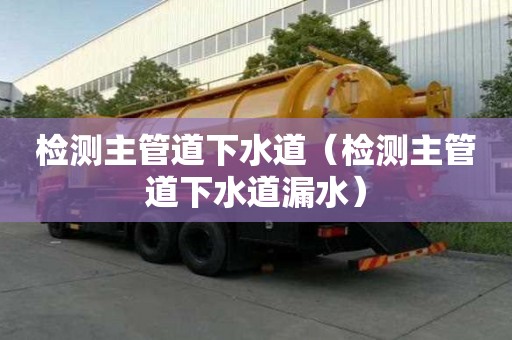 檢測主管道下水道（檢測主管道下水道漏水）