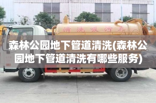 森林公園地下管道清洗(森林公園地下管道清洗有哪些服務(wù))