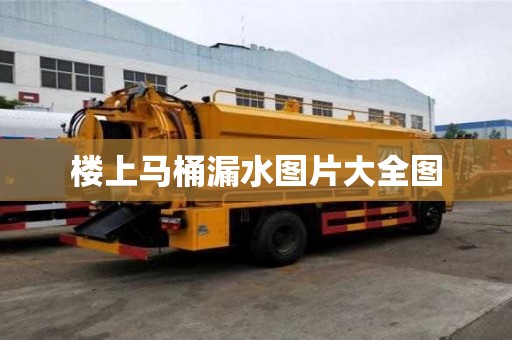 樓上馬桶漏水圖片大全圖