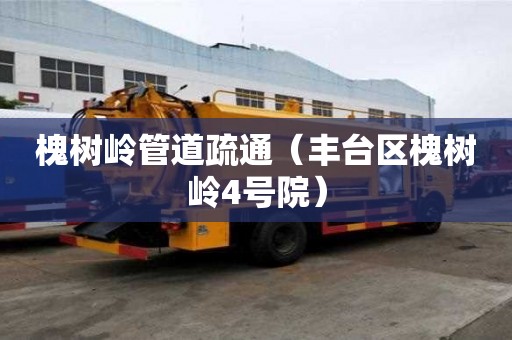 槐樹嶺管道疏通（豐臺(tái)區(qū)槐樹嶺4號(hào)院）