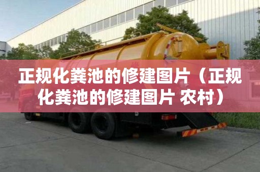 正規化糞池的修建圖片（正規化糞池的修建圖片 農村）
