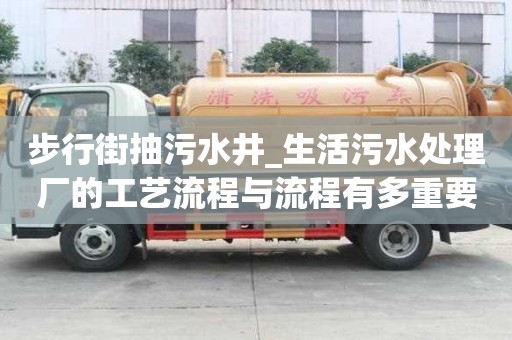 步行街抽污水井_生活污水處理廠的工藝流程與流程有多重要