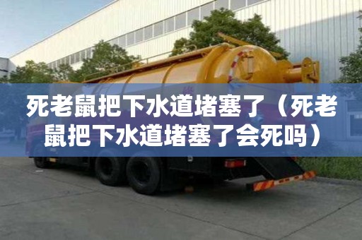 死老鼠把下水道堵塞了（死老鼠把下水道堵塞了會死嗎）