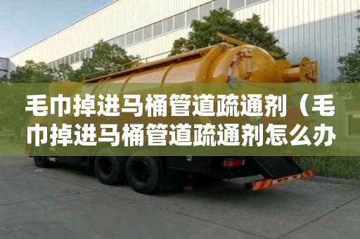 毛巾掉進(jìn)馬桶管道疏通劑（毛巾掉進(jìn)馬桶管道疏通劑怎么辦）