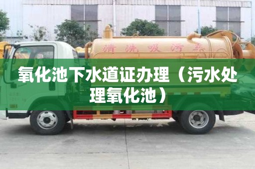 氧化池下水道證辦理（污水處理氧化池）