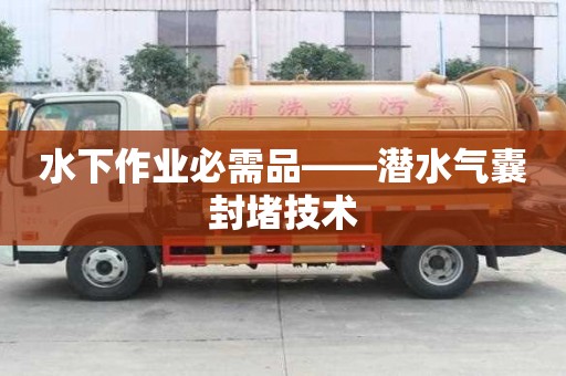 水下作業(yè)必需品——潛水氣囊封堵技術(shù)