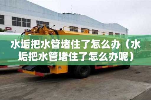水垢把水管堵住了怎么辦（水垢把水管堵住了怎么辦呢）