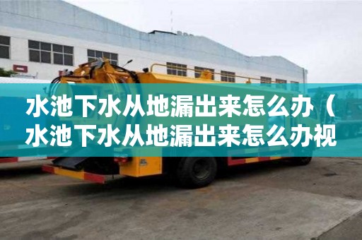 水池下水從地漏出來怎么辦（水池下水從地漏出來怎么辦視頻）