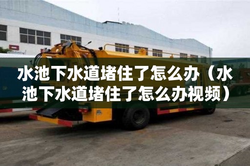 水池下水道堵住了怎么辦（水池下水道堵住了怎么辦視頻）
