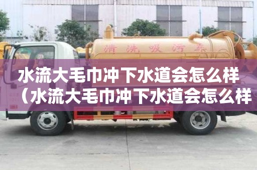 水流大毛巾沖下水道會(huì)怎么樣（水流大毛巾沖下水道會(huì)怎么樣呢）