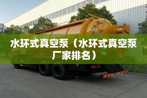 水環(huán)式真空泵（水環(huán)式真空泵廠家排名）