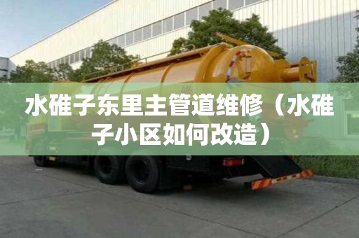 水碓子東里主管道維修（水碓子小區如何改造）