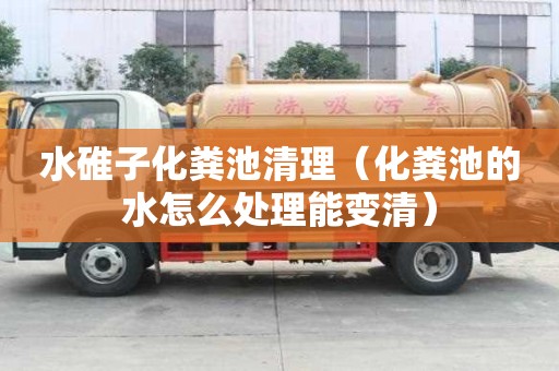 水碓子化糞池清理（化糞池的水怎么處理能變清）