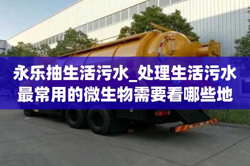 永樂抽生活污水_處理生活污水最常用的微生物需要看哪些地方