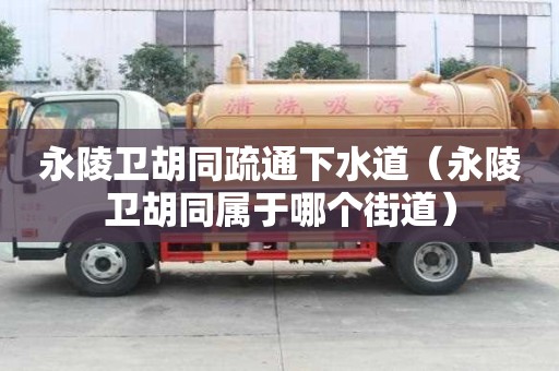 永陵衛胡同疏通下水道（永陵衛胡同屬于哪個街道）