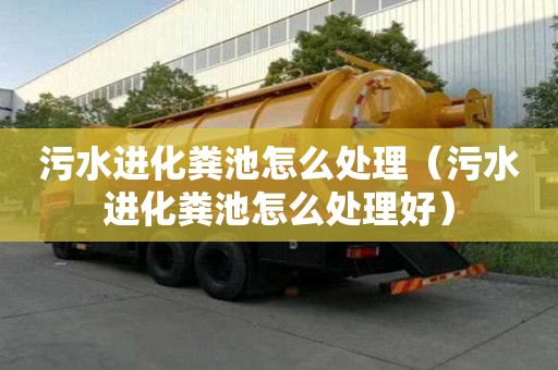污水進化糞池怎么處理（污水進化糞池怎么處理好）
