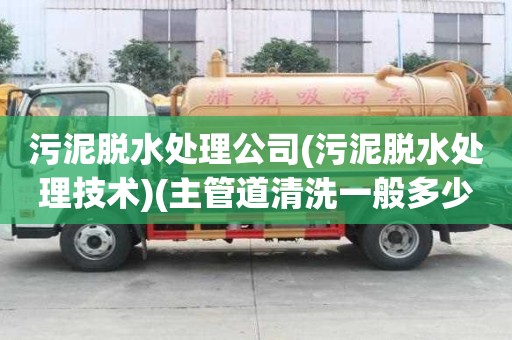污泥脫水處理公司(污泥脫水處理技術)(主管道清洗一般多少錢)