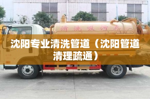 沈陽專業(yè)清洗管道（沈陽管道清理疏通）