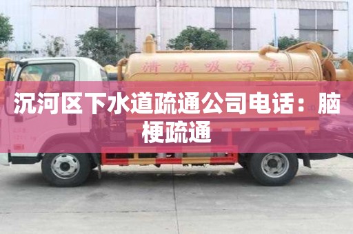 沉河區下水道疏通公司電話：腦梗疏通