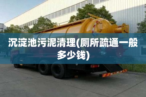 沉淀池污泥清理(廁所疏通一般多少錢)