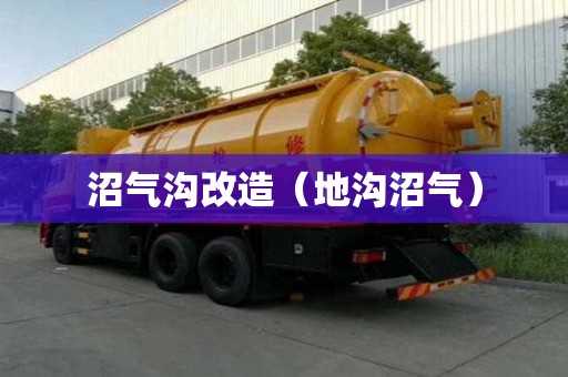沼氣溝改造（地溝沼氣）