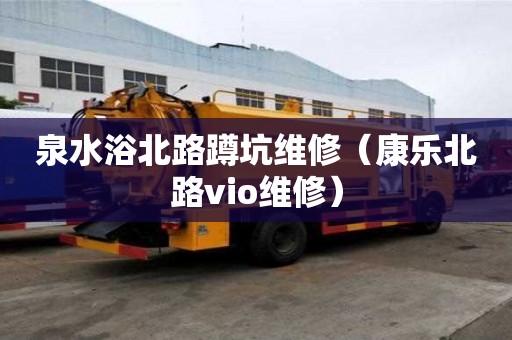 泉水浴北路蹲坑維修（康樂北路vio維修）