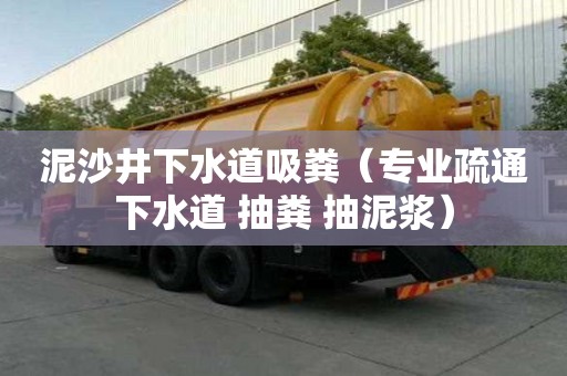 泥沙井下水道吸糞（專業疏通下水道 抽糞 抽泥漿）