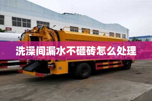 洗澡間漏水不砸磚怎么處理