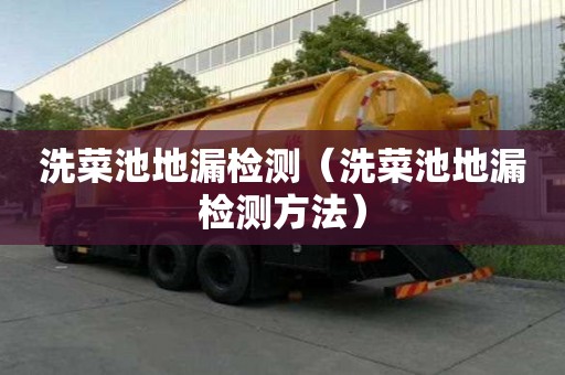 洗菜池地漏檢測(cè)（洗菜池地漏檢測(cè)方法）