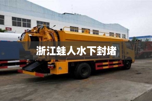 浙江蛙人水下封堵