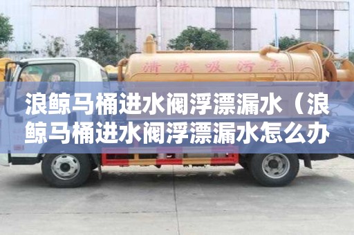 浪鯨馬桶進水閥浮漂漏水（浪鯨馬桶進水閥浮漂漏水怎么辦）