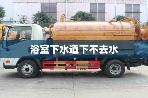 浴室下水道下不去水