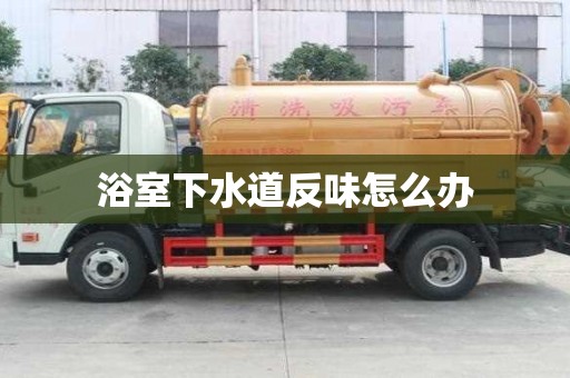 浴室下水道反味怎么辦
