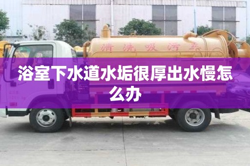 浴室下水道水垢很厚出水慢怎么辦